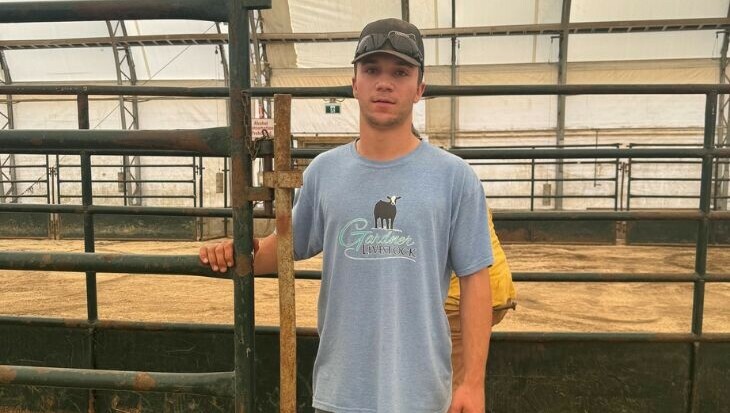 A high school student stands inside the Olds exhibition facilities holding onto the bars of a livestock pen